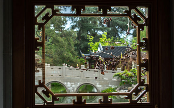 Chinese garden window detail